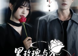 短剧《黑玫瑰与天才操盘手（81集）》免费短剧全集随心观看