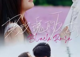 短剧《黑玫瑰的反击（47集）》爆款短剧全集免费看