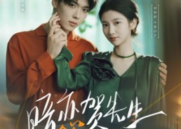 短剧《暗恋贺先生的第八年（87集）》短剧免费看全集不卡