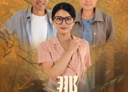 短剧《那年花开月正圆（29集）》短剧免费无广告在线追