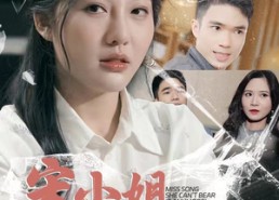 短剧《宋小姐她不忍了（18集）》短剧免费在线完整观看