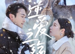 短剧《逆爱之殇（60集）》热门短剧在线免费速看