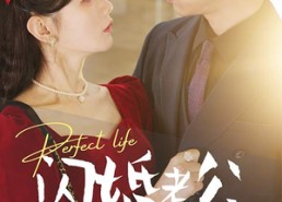 短剧《闪婚老公相逢不相识（90集）》短剧完整剧情在线观