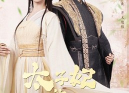 短剧《太子妃的休夫大业（84集）》短剧完整版在线速看