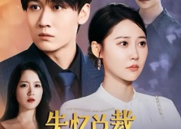 短剧《失忆总裁五岁半（24集）》短剧完整版在线欣赏