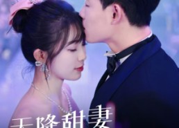 短剧《天降甜妻如珠如宝（65集）》短剧全集免费在线欢乐看