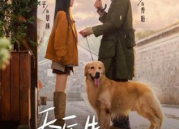 短剧《乔医生，我想帮你收租（81集）》短剧免费全集一键看