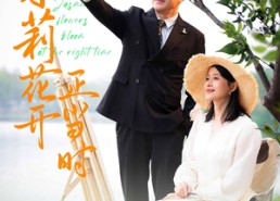 短剧《茉莉花开正当时（80集）》爆款短剧免费在线追