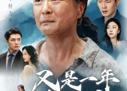 短剧《又是一年金秋月（55集）》短剧全集免费在线观赏