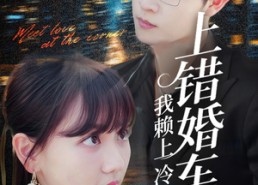 短剧《上错婚车后我赖上冷酷谭爷（59集）》精彩短剧全集免费播