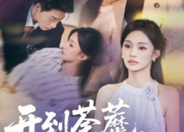 短剧《开到荼蘼，花事终了（77集）》精彩短剧在线完整播放