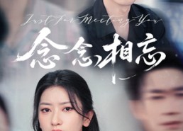 短剧《念念相忘（57集）》短剧全集高清免费播