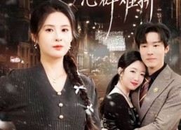 短剧《凛冬深夜，心碎难拼（64集）》热门短剧免费畅享全集