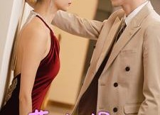 短剧《苏小姐请住手（82集）》短剧完整版免费畅享