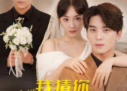 短剧《我猜你离不开我（39集）》免费短剧全集畅享观看