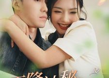 短剧《天降神秘老公（93集）》热门短剧免费全集观赏