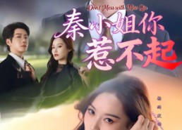 短剧《秦小姐你惹不起（80集）》精彩短剧免费畅快观看