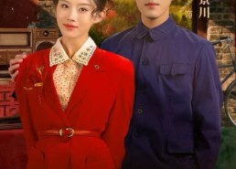 短剧《重生七零资本家小姐一心想离婚（80集）》短剧免费高清全集观赏