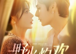 短剧《野火灼欢（61集）》爆款短剧免费在线追剧