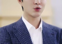 短剧《忽如一夜春风来（28集）》免费短剧全集高清看