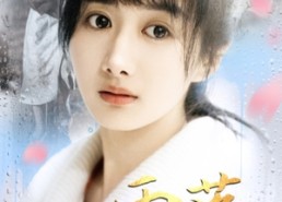 短剧《雨落花正开（62集）》精彩短剧免费全集速看