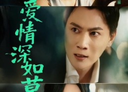 短剧《错爱情深如草芥（46集）》免费短剧全集高清观看