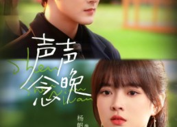 短剧《声声念晚（73集）》短剧全集免费畅享看