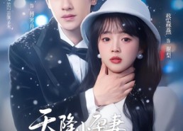 短剧《天降小孕妻，傅爷他拿命宠（76集）》短剧全集免费畅快追剧