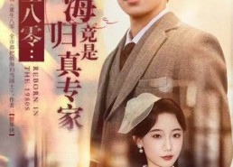 短剧《重生八零：假海归竟是真专家（65集）》热门短剧免费在线观