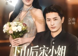 短剧《下山后宋小姐又美又飒（65集）》精彩短剧免费在线观览