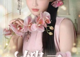 短剧《嫂子（38集）》优质短剧免费畅快览