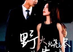 短剧《野火烧尽芳草时（65集）》短剧全集免费流畅观看