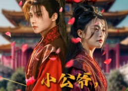 短剧《小公爷夫人回来救全族了（100集）》高能短剧免费在线览