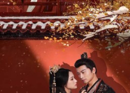 短剧《梦向楼心灯火归（37集）》短剧全集在线免费赏