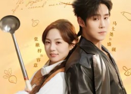 短剧《二婚喜事（73集）》优质短剧免费全集速看