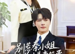 短剧《别惹秦小姐她前夫是妻管严（50集）》热门短剧免费全集观