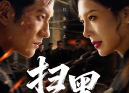 短剧《扫黑（70集）》完整版短剧免费在线看