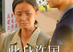 短剧《此身许国亦许卿（60集）》免费短剧全集随心看