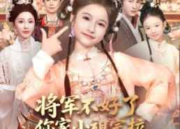短剧《将军不好了你家小祖宗拉着夫人回娘家了（67集）》热门短剧在线高清播放
