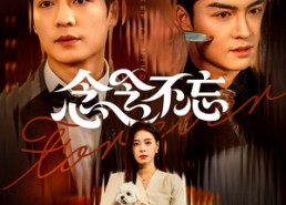 短剧《念念不忘（73集）》短剧全集免费畅快观