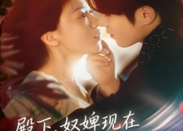 短剧《殿下，奴婢现在是您的总裁夫人（80集）》热门短剧全集免费在线瞧