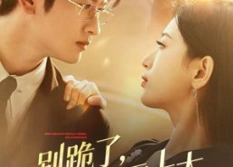 短剧《别跪了请叫我霍太太（70集）》短剧在线高清全集观看