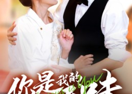 短剧《你是我的人间至味（65集）》优质短剧全集免费在线看