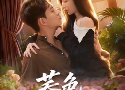 短剧《荞色入林深（70集）》短剧高清全集在线播