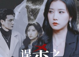 短剧《误杀之破冰玫瑰（35集）》短剧热门全集免费畅享