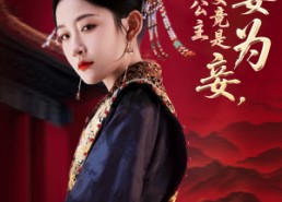 短剧《贬妻为妾医女竟是长公主（80集）》热门短剧全集免费速看