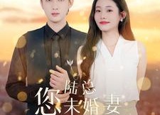 短剧《陆总您未婚妻又作又茶（100集）》精彩短剧全集免费赏