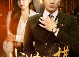 短剧《尘世纵横（70集）》经典短剧全集免费享