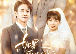 短剧《如果可以重来（60集）》优质短剧免费在线览