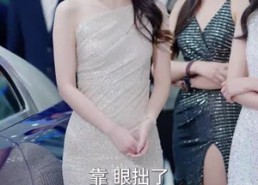 短剧《继承人计划之美女如云（66集）》短剧全剧情高清在线看